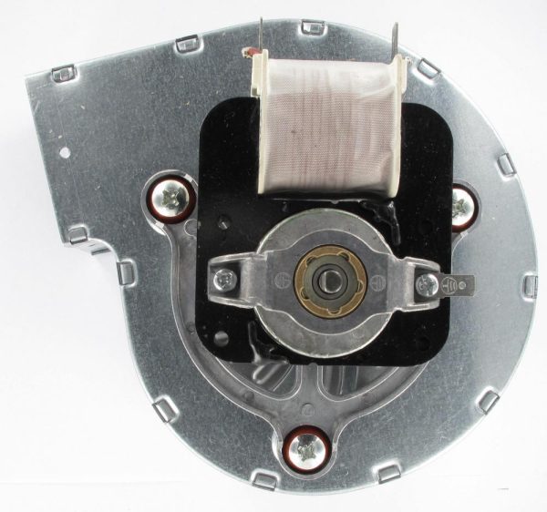 Extraflame rookgasmotor
