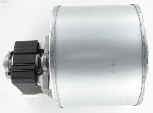 Centrifugale motor